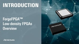ForgeFPGA Low-density FPGAs Overview